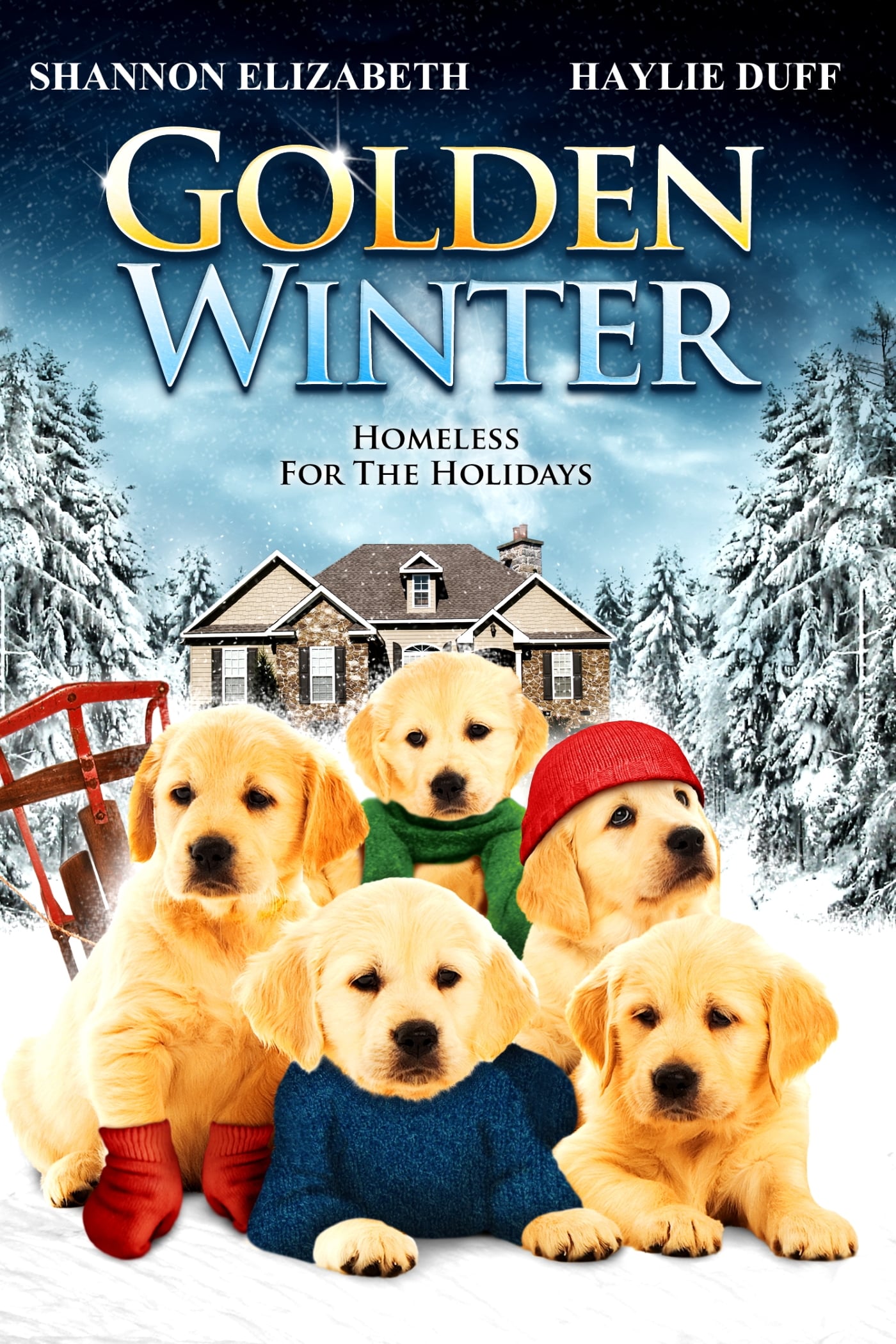 Постер Golden Winter
